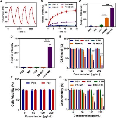 Hydrogel co-loading SO2 prodrug and FeGA nanoparticles for enhancing chemodynamic therapy by photothermal-triggered SO2 gas therapy